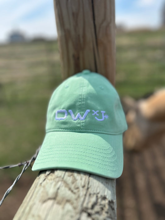 OWxJ Fitted Caps